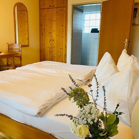 Pension Gartner Wallern im Burgenland Exteriér fotografie